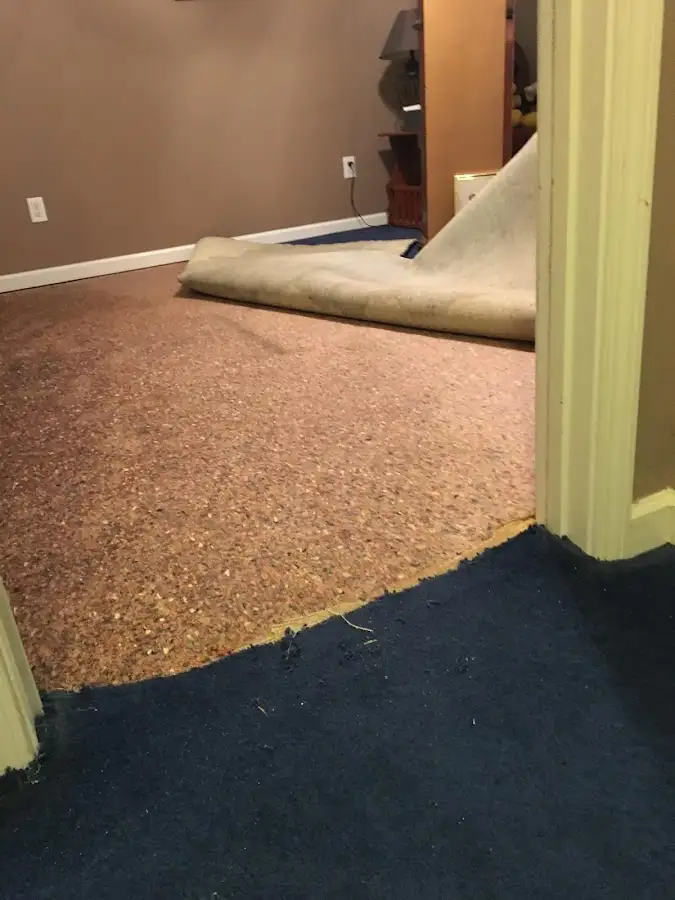 Carpet pad removal revealing water damage during Drying & Dehumidification in Iola