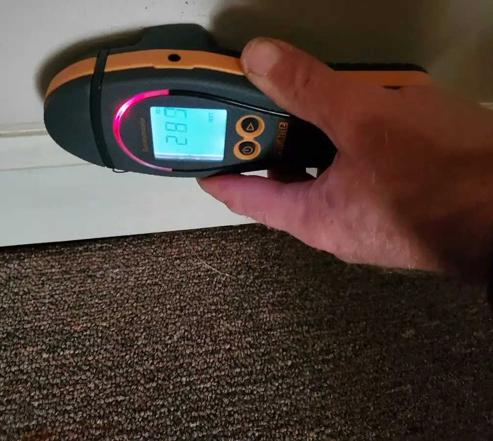 Moisture detection at baseboard during Sewage Cleanup & Sanitation in Iola